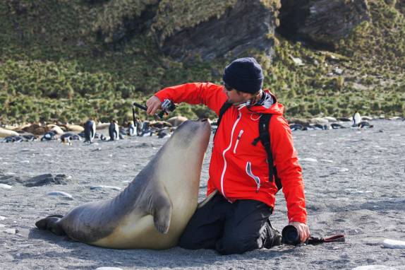 Brincando com um filhote de elefante-marinho na praia de Gold Harbour, na Geórgia do Sul (foto de J P Salakari)